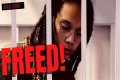Understanding Griner Gender: A Comprehensive Exploration