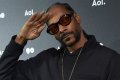 Was Snoop Dogg A Criminal? Unraveling The Life Of A Rap Icon